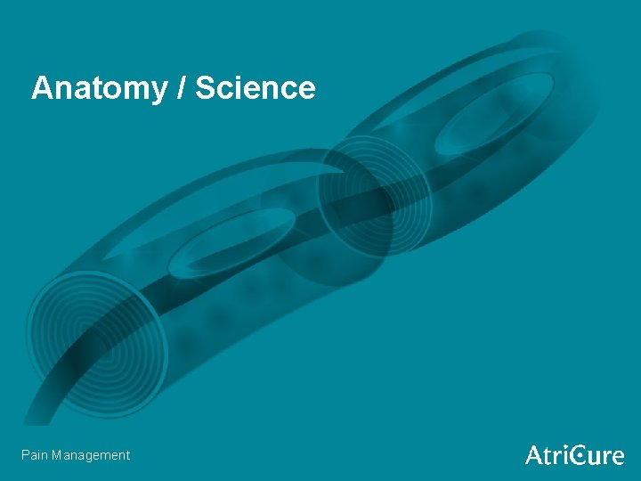 Anatomy / Science Pain Management 