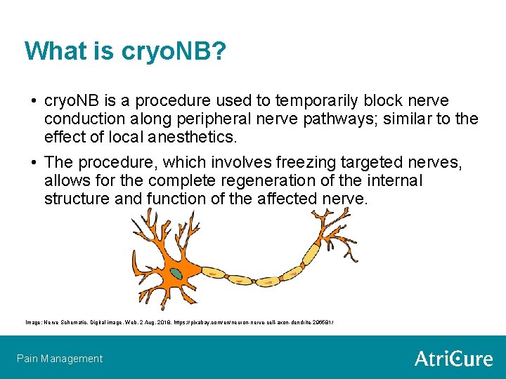 What is cryo. NB? • cryo. NB is a procedure used to temporarily block