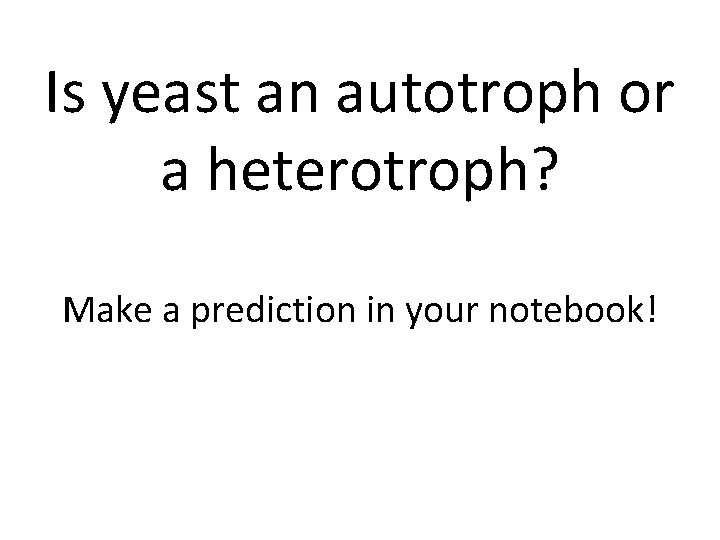 Is yeast an autotroph or a heterotroph? Make a prediction in your notebook! 