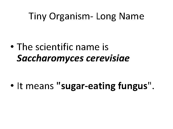 Tiny Organism- Long Name • The scientific name is Saccharomyces cerevisiae • It means