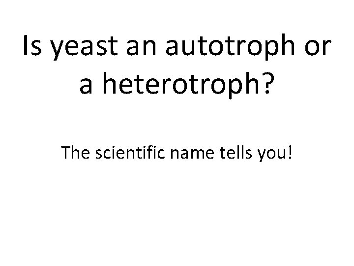Is yeast an autotroph or a heterotroph? The scientific name tells you! 