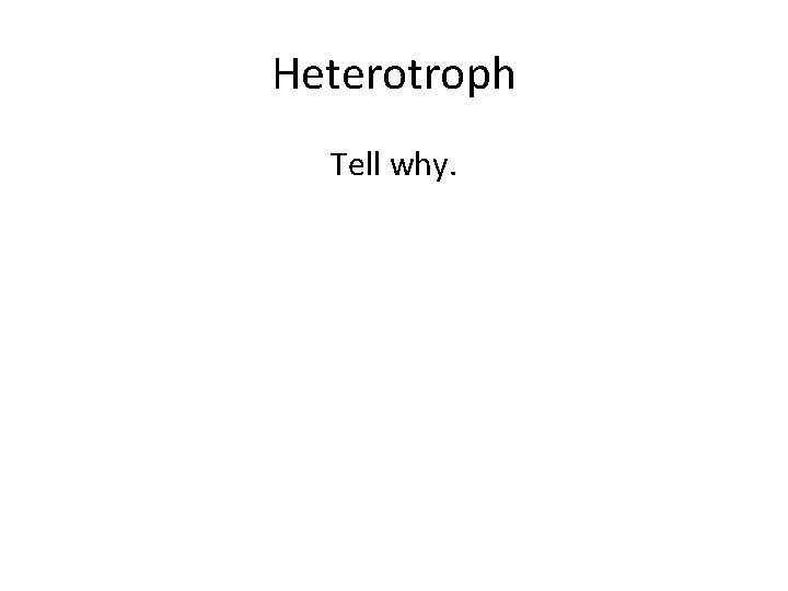 Heterotroph Tell why. 