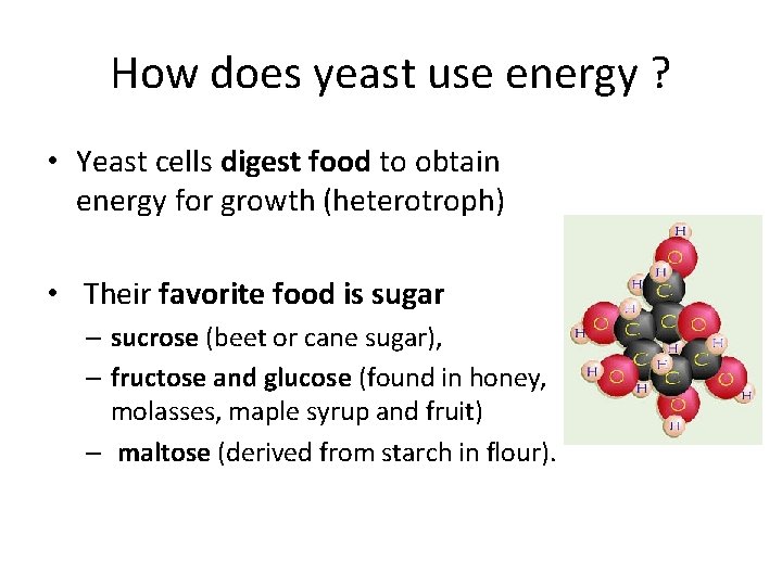 How does yeast use energy ? • Yeast cells digest food to obtain energy