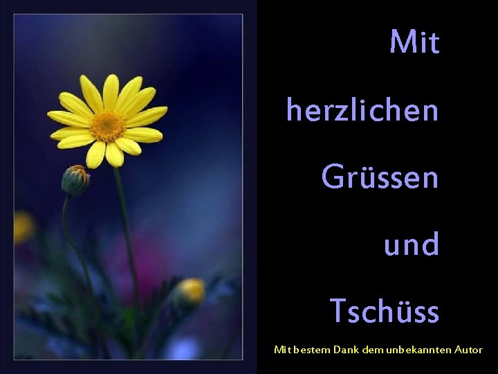 Mit herzlichen Grüssen und Tschüss Mit bestem Dank dem unbekannten Autor 