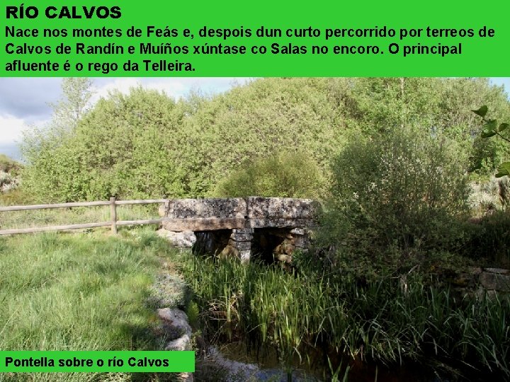 RÍO CALVOS Nace nos montes de Feás e, despois dun curto percorrido por terreos