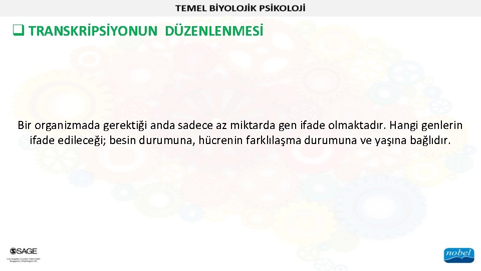 q TRANSKRİPSİYONUN DÜZENLENMESİ Bir organizmada gerektiği anda sadece az miktarda gen ifade olmaktadır. Hangi