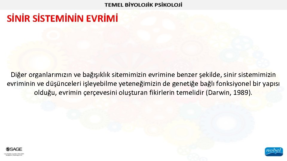 SİNİR SİSTEMİNİN EVRİMİ Diğer organlarımızın ve bağışıklık sitemimizin evrimine benzer şekilde, sinir sistemimizin evriminin