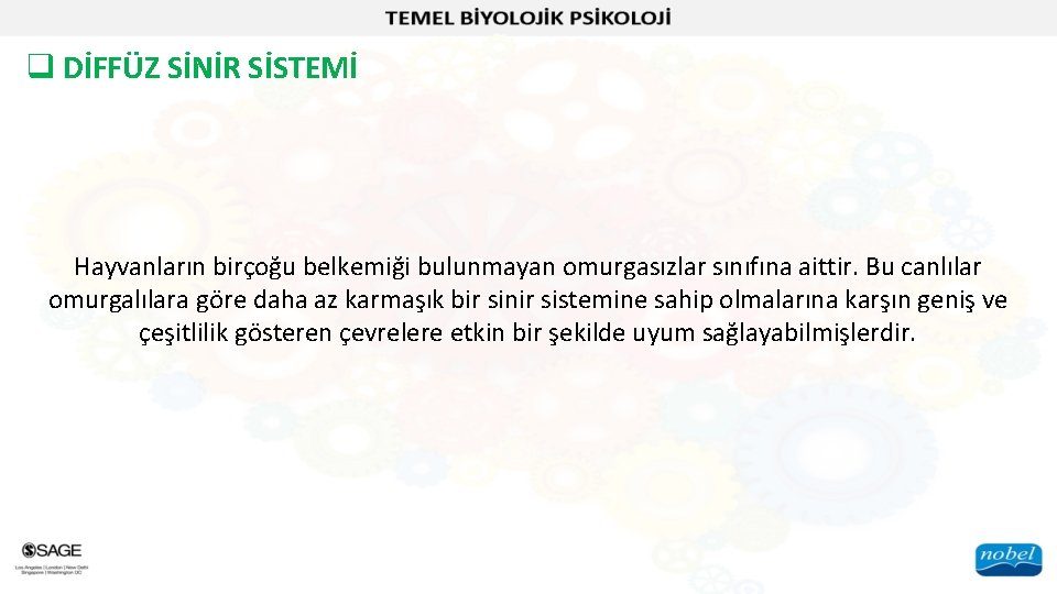 q DİFFÜZ SİNİR SİSTEMİ Hayvanların birçoğu belkemiği bulunmayan omurgasızlar sınıfına aittir. Bu canlılar omurgalılara