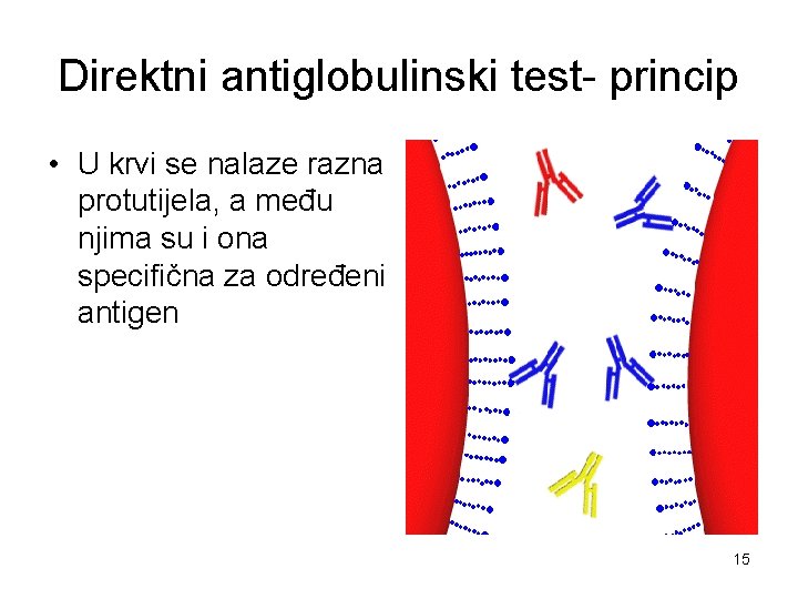 Direktni antiglobulinski test- princip • U krvi se nalaze razna protutijela, a među njima