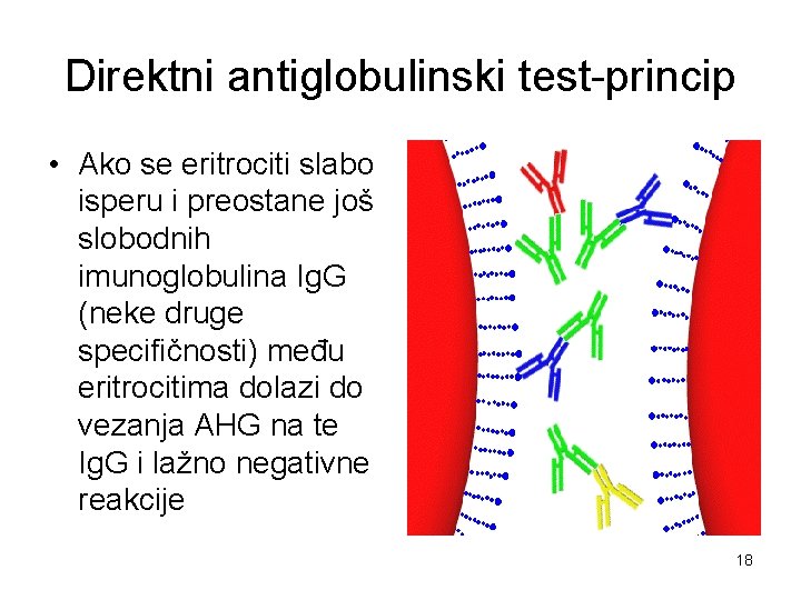 Direktni antiglobulinski test-princip • Ako se eritrociti slabo isperu i preostane još slobodnih imunoglobulina