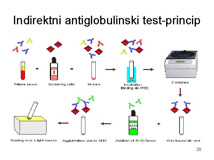 Indirektni antiglobulinski test-princip 20 