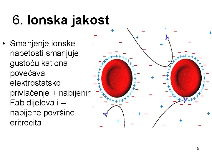 6. Ionska jakost • Smanjenje ionske napetosti smanjuje gustoću kationa i povećava elektrostatsko privlačenje