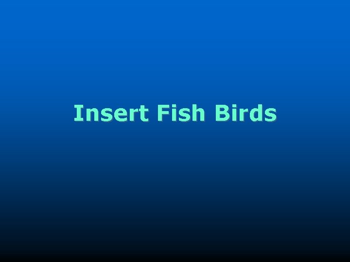 Insert Fish Birds 