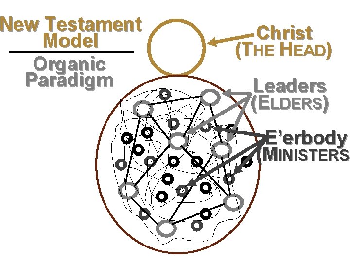 New Testament Model Second level Organic Third level Paradigm Fourth level Fifth level Christ