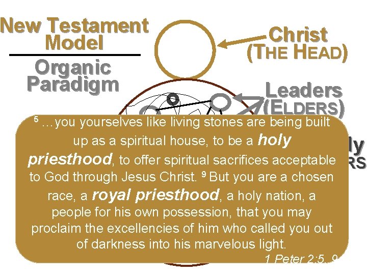 New Testament Model Second level Organic Third level Paradigm Fourth level Fifth level Christ