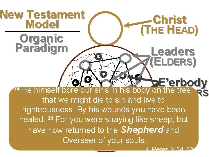 New Testament Model Second level Organic Third level Paradigm Fourth level Fifth level Christ