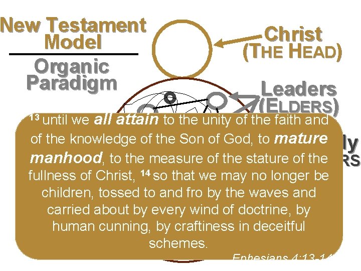 New Testament Model Second level Organic Third level Paradigm Fourth level Fifth level Christ