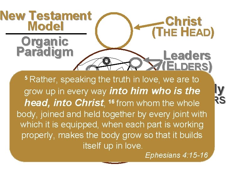 New Testament Model Second level Organic Third level Paradigm Fourth level Fifth level Christ