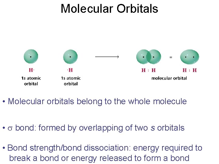 Molecular Orbitals • Molecular orbitals belong to the whole molecule • s bond: formed