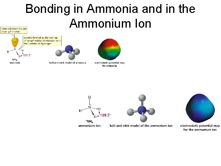 Bonding in Ammonia and in the Ammonium Ion 