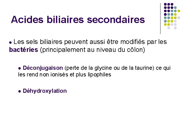 Acides biliaires secondaires Les sels biliaires peuvent aussi être modifiés par les bactéries (principalement