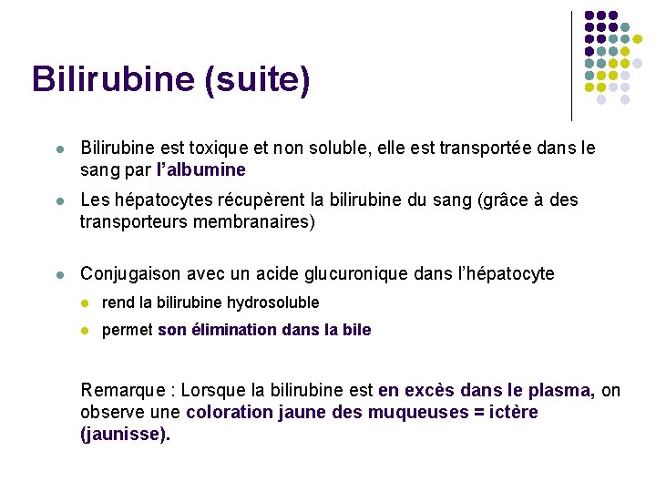 Bilirubine (suite) l Bilirubine est toxique et non soluble, elle est transportée dans le