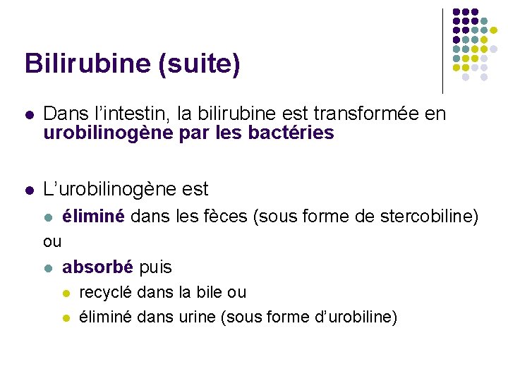 Bilirubine (suite) l Dans l’intestin, la bilirubine est transformée en urobilinogène par les bactéries