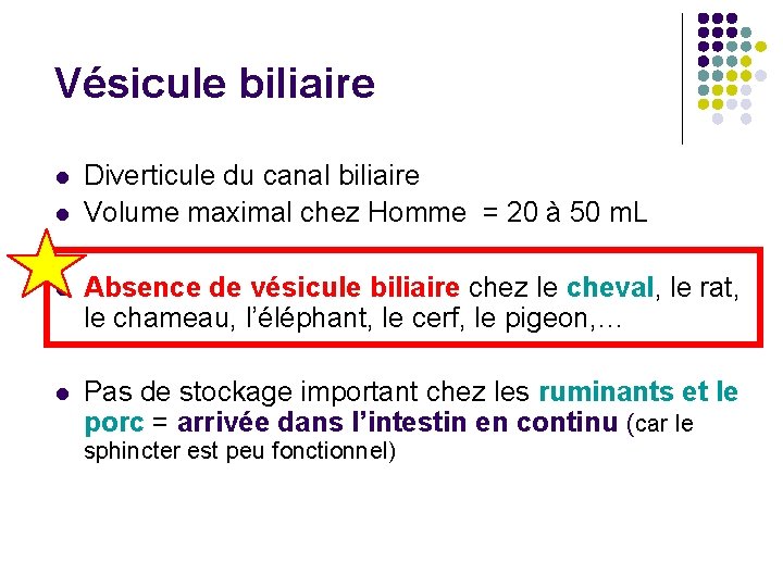 Vésicule biliaire l l Diverticule du canal biliaire Volume maximal chez Homme = 20