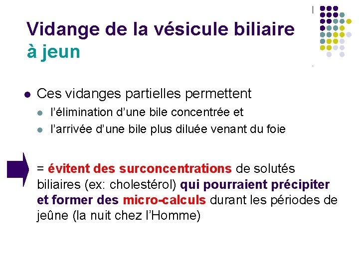 Vidange de la vésicule biliaire à jeun l Ces vidanges partielles permettent l l