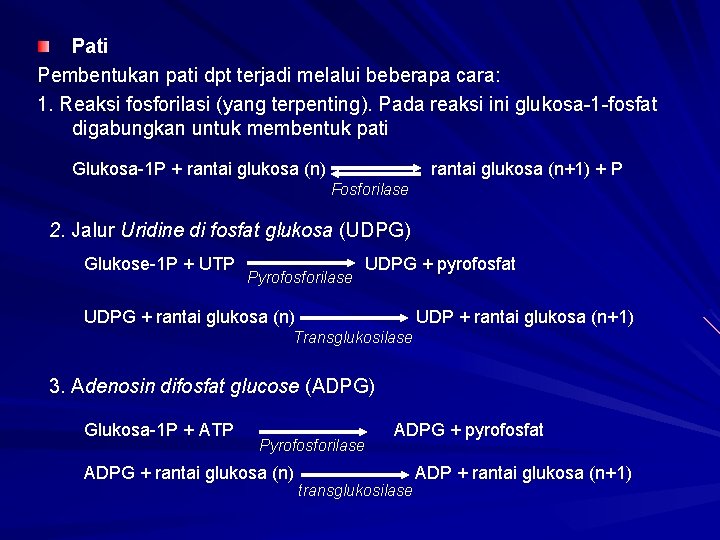 Pati Pembentukan pati dpt terjadi melalui beberapa cara: 1. Reaksi fosforilasi (yang terpenting). Pada