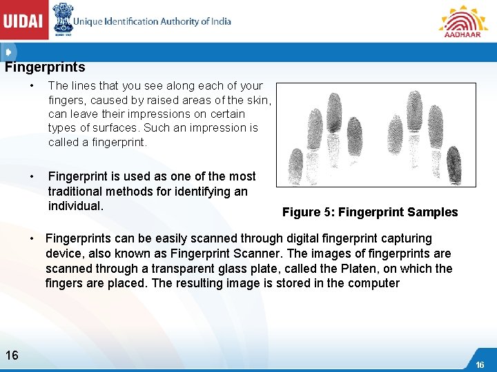 Fingerprints • The lines that you see along each of your fingers, caused by