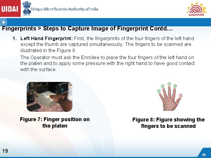 Fingerprints > Steps to Capture Image of Fingerprint Contd… 1. Left Hand Fingerprint: First,