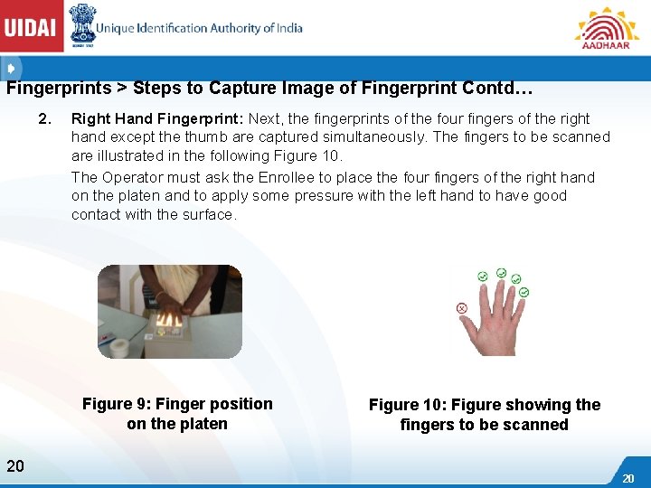 Fingerprints > Steps to Capture Image of Fingerprint Contd… 2. Right Hand Fingerprint: Next,