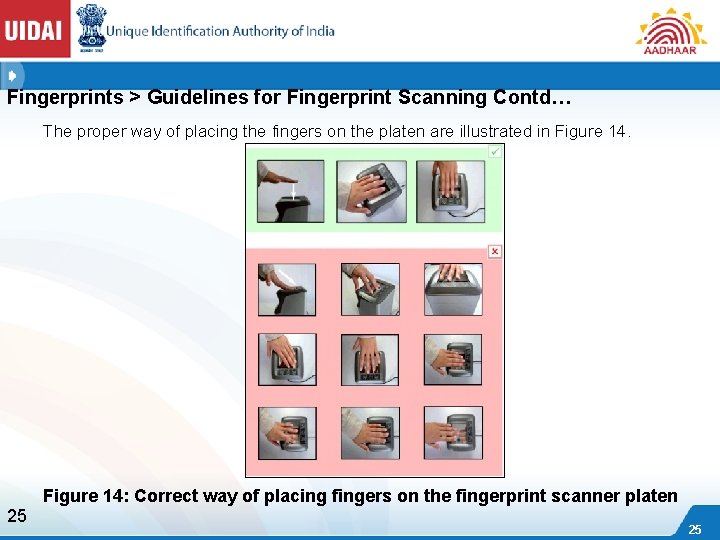 Fingerprints > Guidelines for Fingerprint Scanning Contd… The proper way of placing the fingers