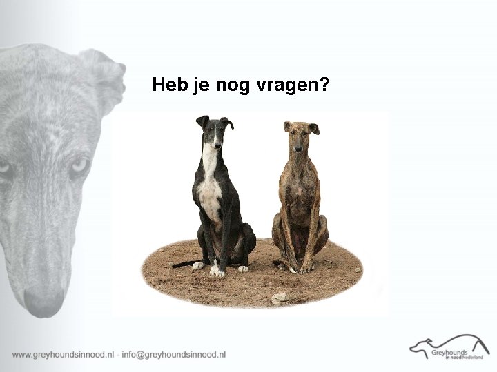 Heb je nog vragen? 