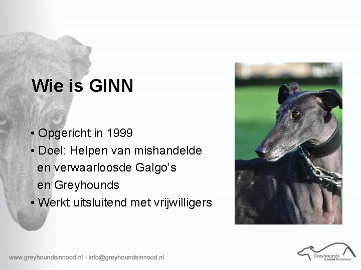 Wie is GINN • Opgericht in 1999 • Doel: Helpen van mishandelde en verwaarloosde