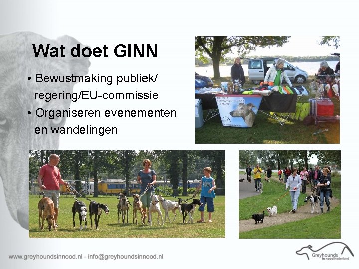 Wat doet GINN • Bewustmaking publiek/ regering/EU-commissie • Organiseren evenementen en wandelingen 