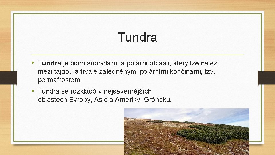 Tundra • Tundra je biom subpolární a polární oblasti, který lze nalézt mezi tajgou