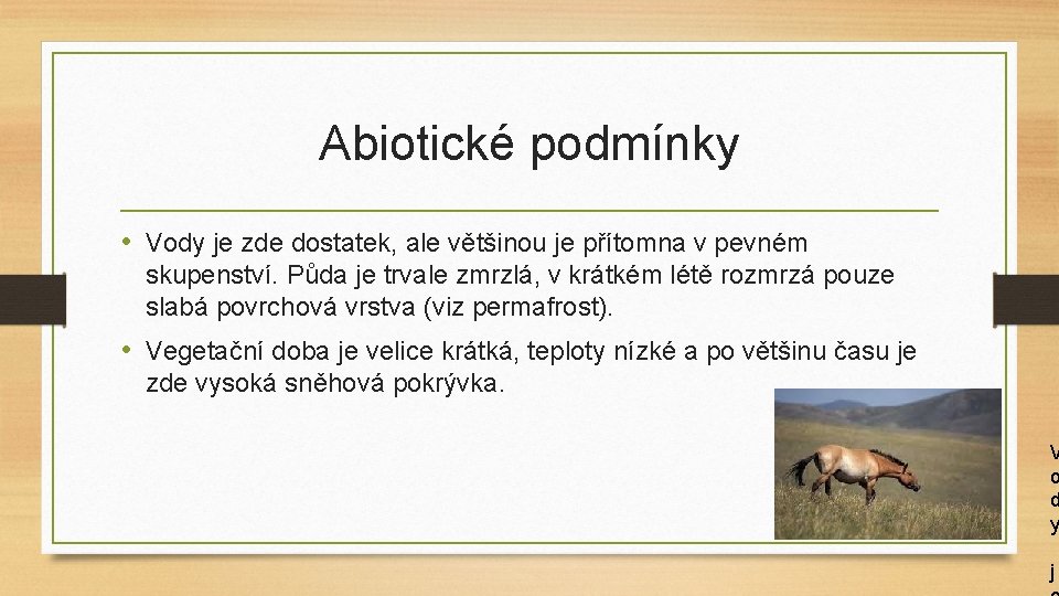 Abiotické podmínky • Vody je zde dostatek, ale většinou je přítomna v pevném skupenství.