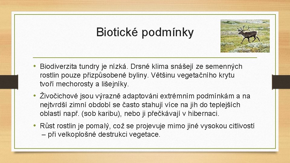 Biotické podmínky • Biodiverzita tundry je nízká. Drsné klima snášejí ze semenných rostlin pouze