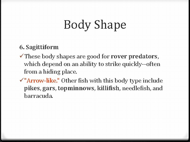 Body Shape 6. Sagittiform üThese body shapes are good for rover predators, which depend