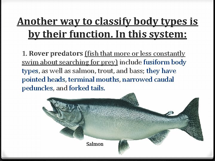 Another way to classify body types is by their function. In this system: 1.