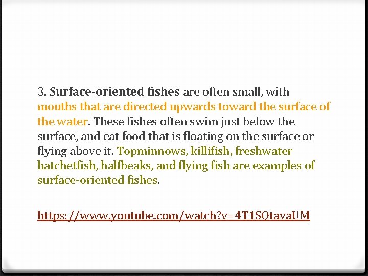 3. Surface-oriented fishes are often small, with mouths that are directed upwards toward the