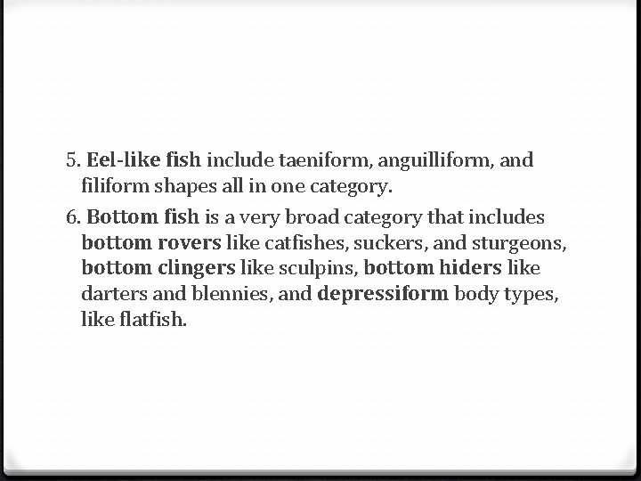 5. Eel-like fish include taeniform, anguilliform, and filiform shapes all in one category. 6.