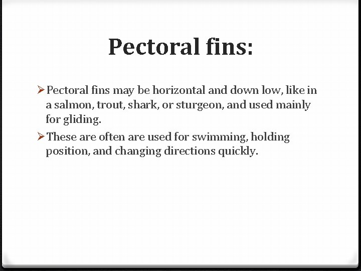 Pectoral fins: ØPectoral fins may be horizontal and down low, like in a salmon,