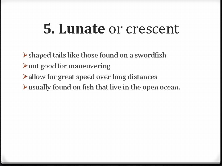 5. Lunate or crescent Øshaped tails like those found on a swordfish Ønot good