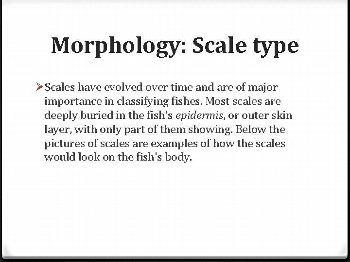 Morphology: Scale type ØScales have evolved over time and are of major importance in