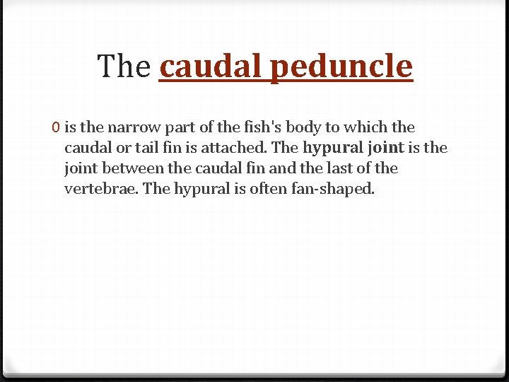 The caudal peduncle 0 is the narrow part of the fish's body to which