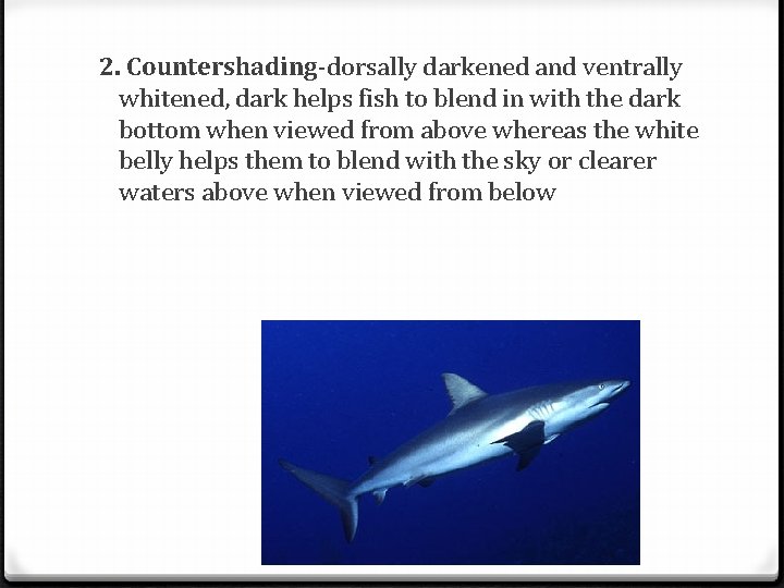 2. Countershading-dorsally darkened and ventrally whitened, dark helps fish to blend in with the