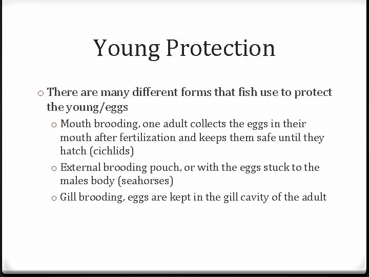 Young Protection o There are many different forms that fish use to protect the